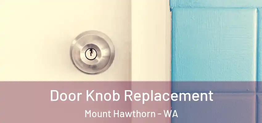  Door Knob Replacement Mount Hawthorn - WA
