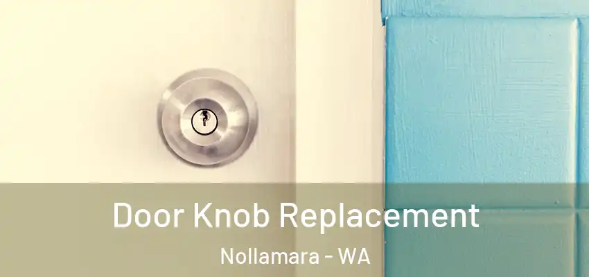 Door Knob Replacement Nollamara - WA