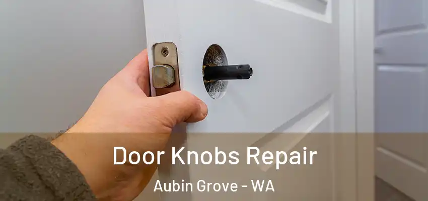 Door Knobs Repair Aubin Grove - WA