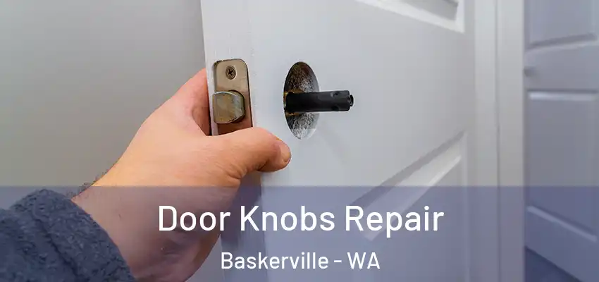 Door Knobs Repair Baskerville - WA