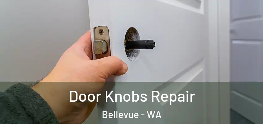 Door Knobs Repair Bellevue - WA