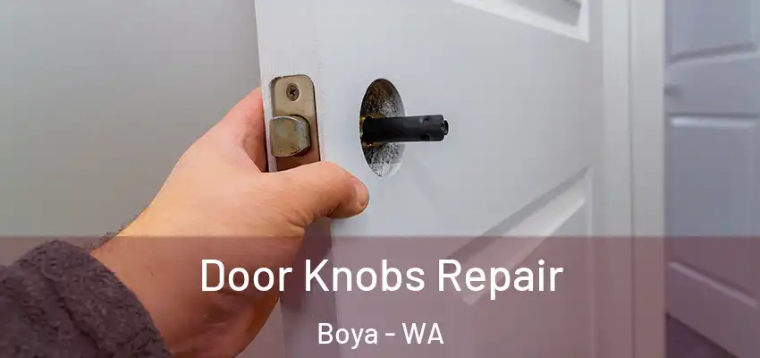 Door Knobs Repair Boya - WA