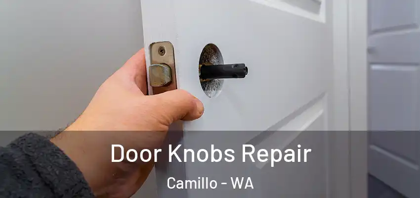 Door Knobs Repair Camillo - WA