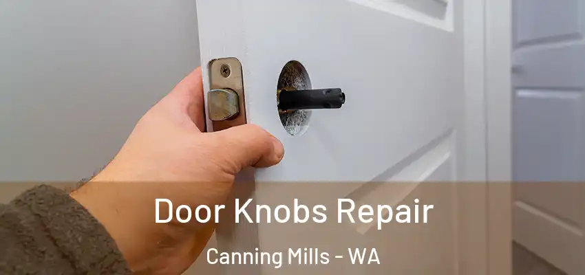 Door Knobs Repair Canning Mills - WA