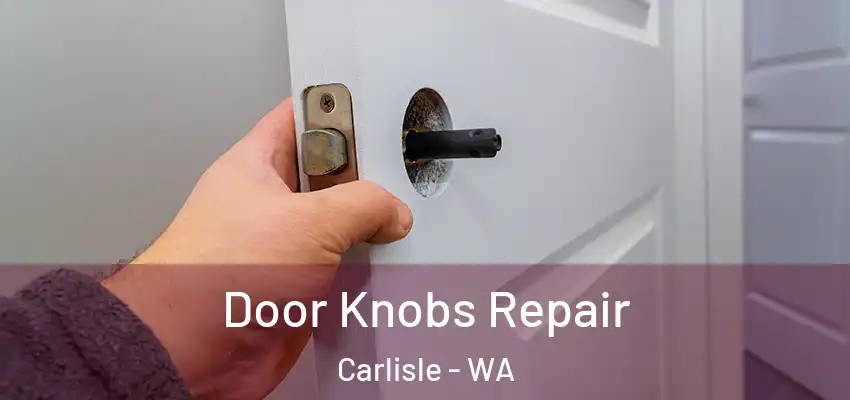 Door Knobs Repair Carlisle - WA