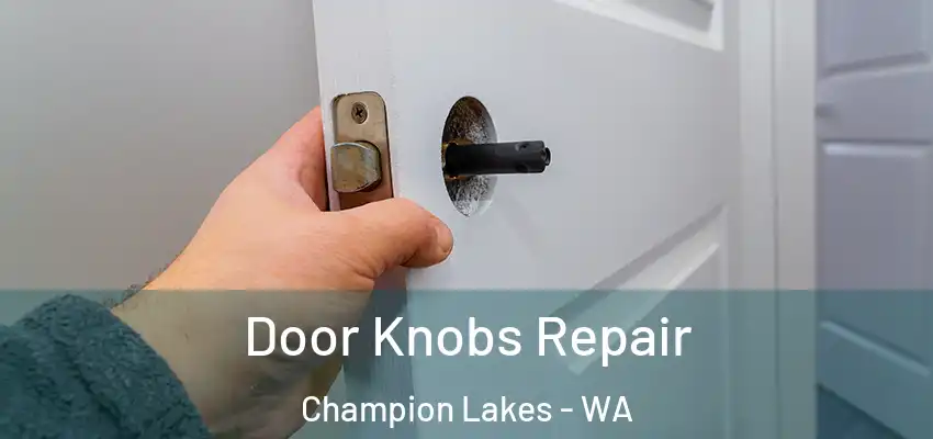  Door Knobs Repair Champion Lakes - WA