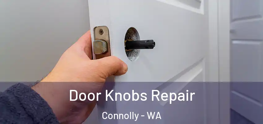 Door Knobs Repair Connolly - WA