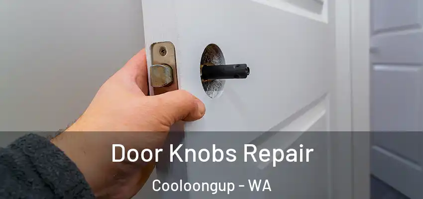 Door Knobs Repair Cooloongup - WA
