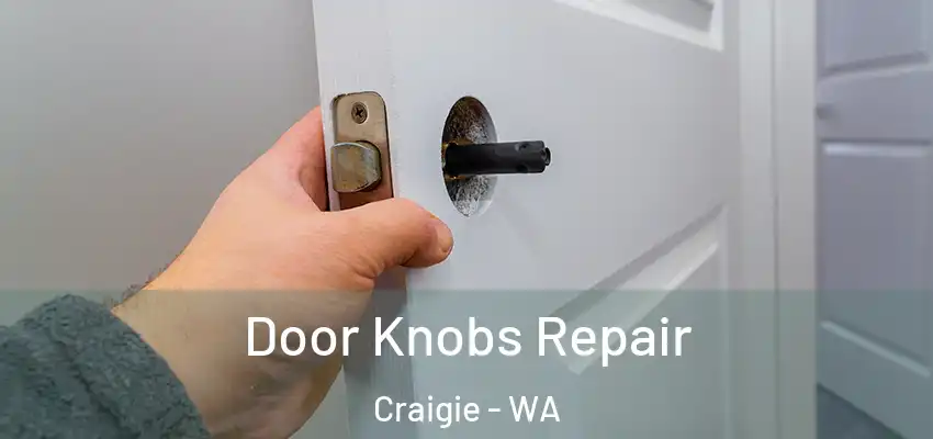 Door Knobs Repair Craigie - WA