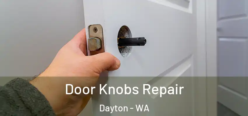  Door Knobs Repair Dayton - WA
