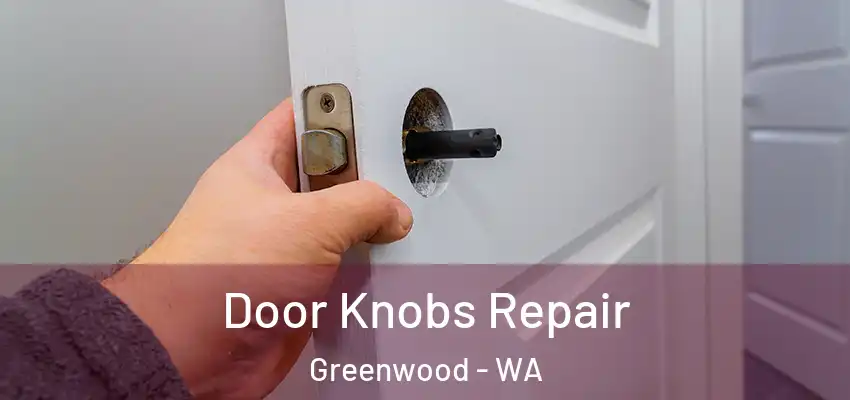 Door Knobs Repair Greenwood - WA