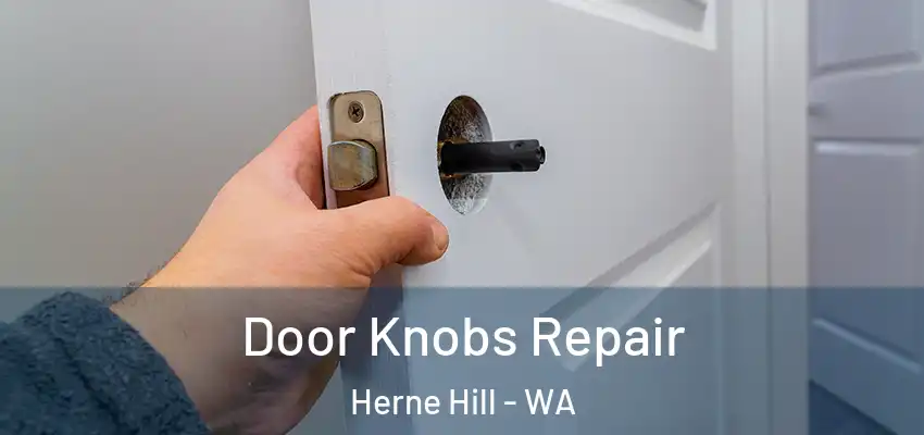  Door Knobs Repair Herne Hill - WA