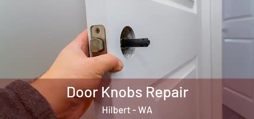 Door Knobs Repair Hilbert - WA
