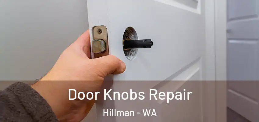 Door Knobs Repair Hillman - WA