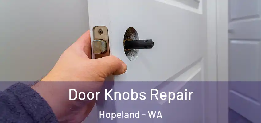  Door Knobs Repair Hopeland - WA