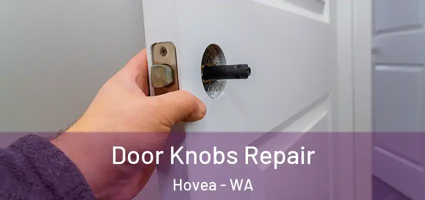 Door Knobs Repair Hovea - WA