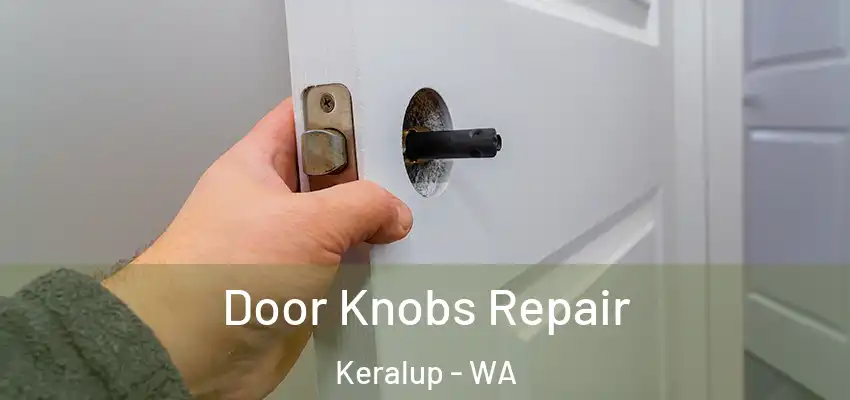 Door Knobs Repair Keralup - WA