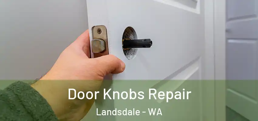  Door Knobs Repair Landsdale - WA