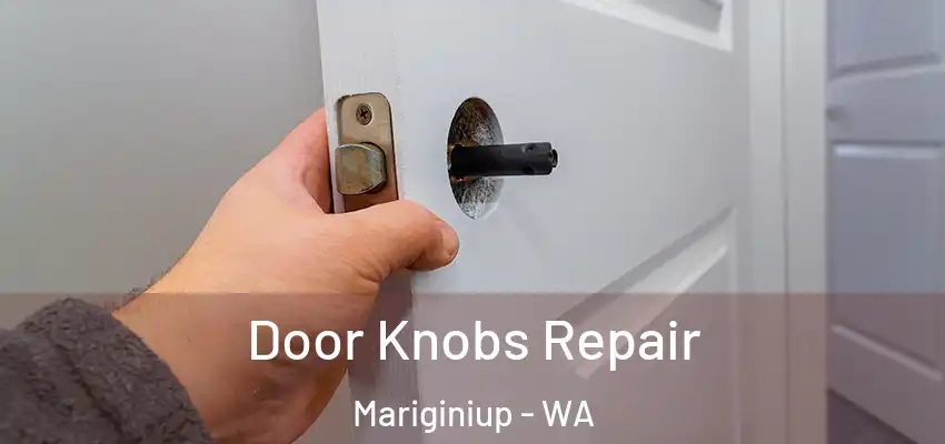 Door Knobs Repair Mariginiup - WA