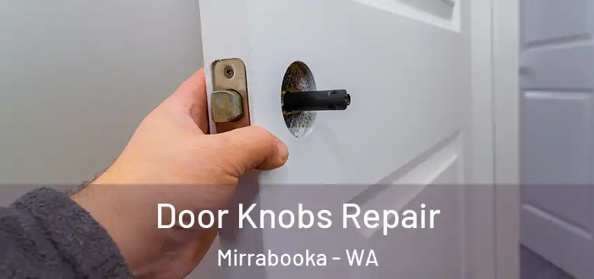 Door Knobs Repair Mirrabooka - WA