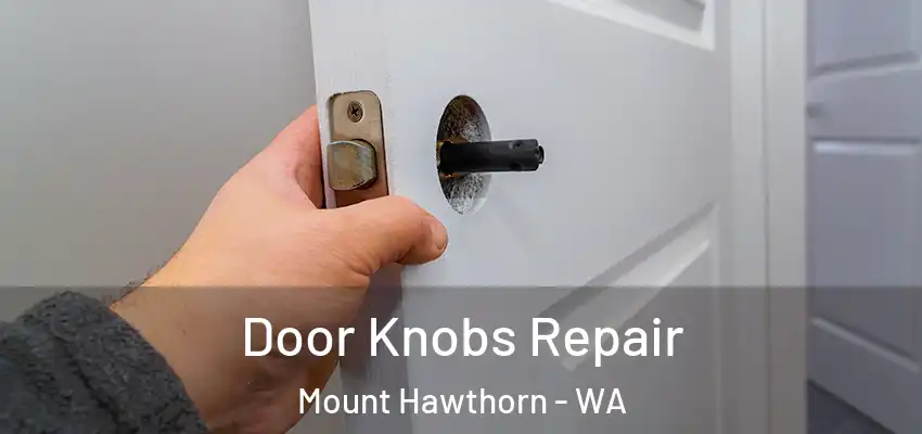 Door Knobs Repair Mount Hawthorn - WA