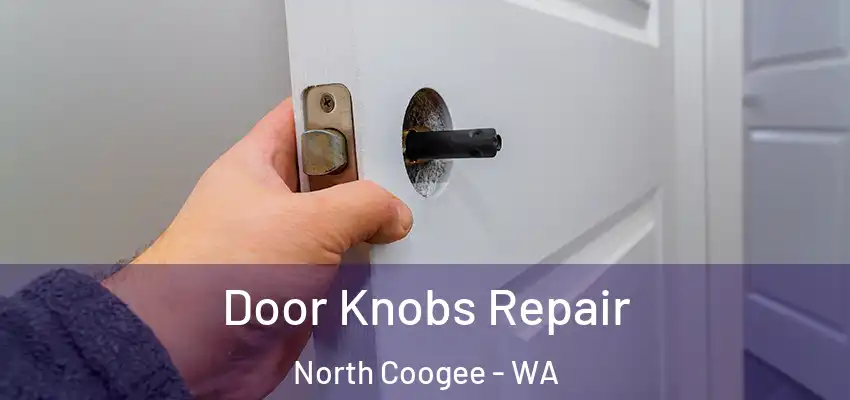  Door Knobs Repair North Coogee - WA