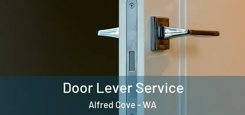 Door Lever Service Alfred Cove - WA