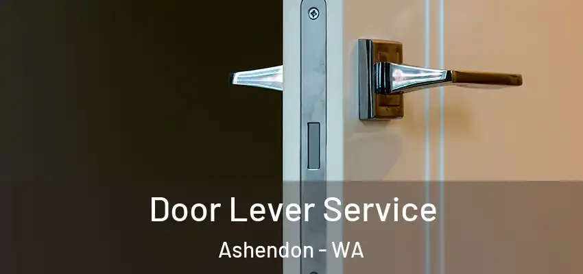 Door Lever Service Ashendon - WA