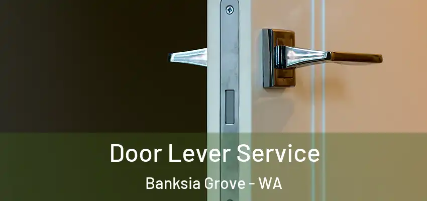 Door Lever Service Banksia Grove - WA