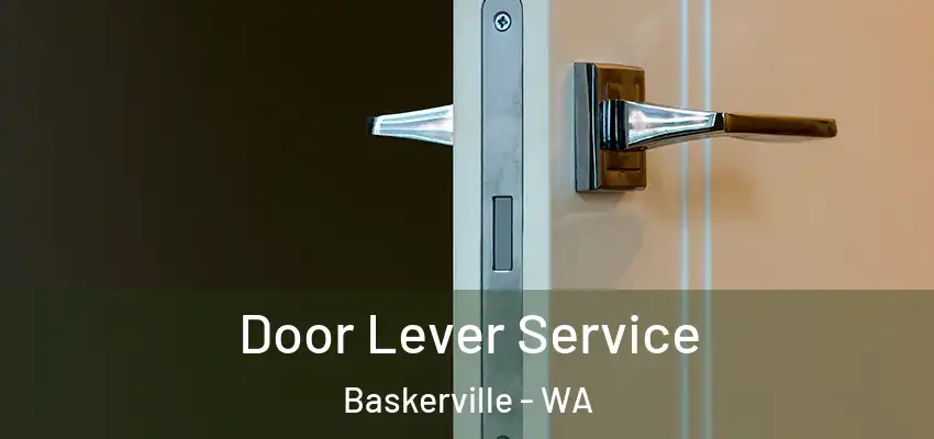 Door Lever Service Baskerville - WA