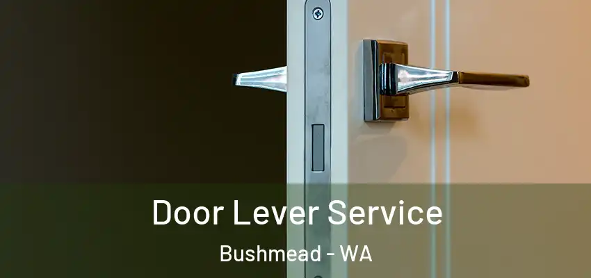 Door Lever Service Bushmead - WA