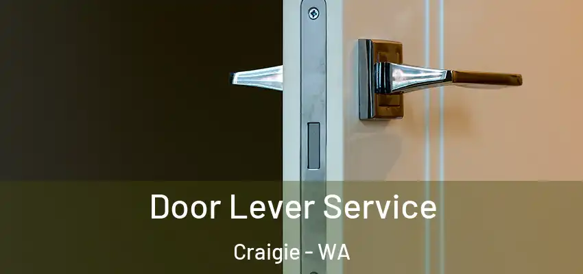  Door Lever Service Craigie - WA
