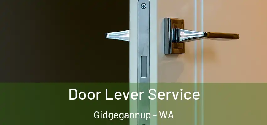 Door Lever Service Gidgegannup - WA