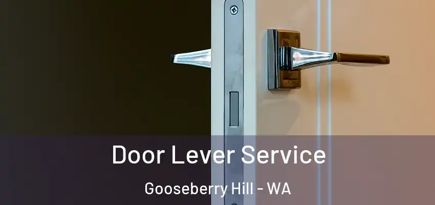 Door Lever Service Gooseberry Hill - WA