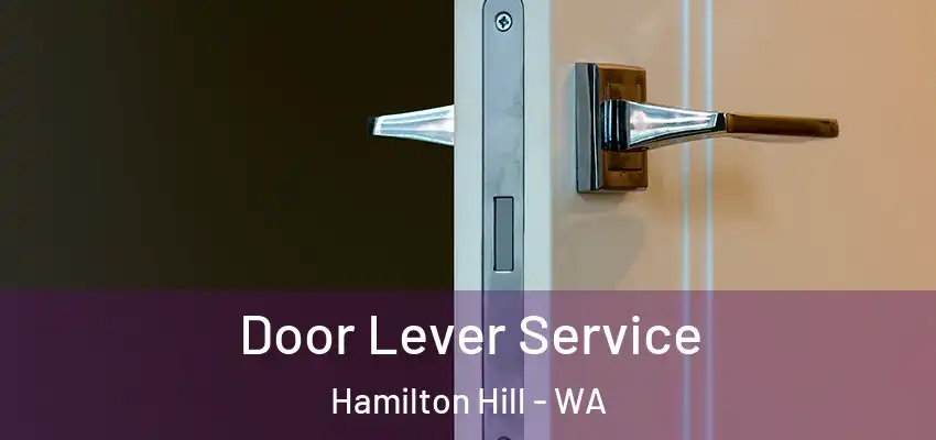 Door Lever Service Hamilton Hill - WA