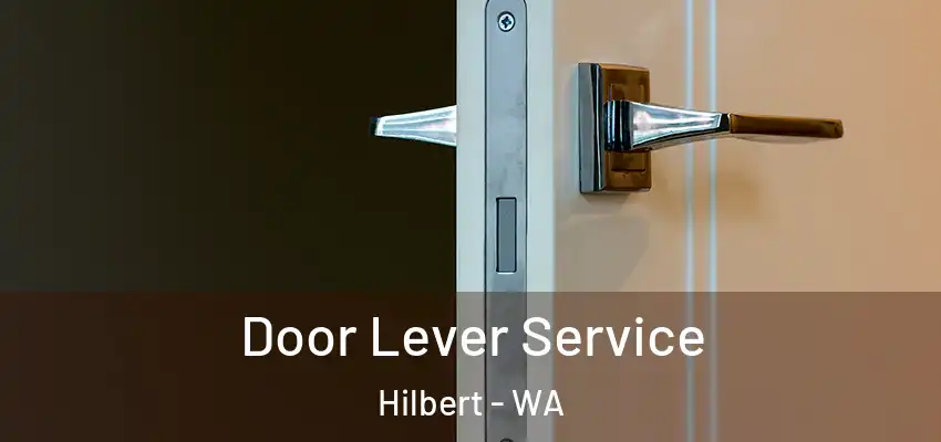 Door Lever Service Hilbert - WA