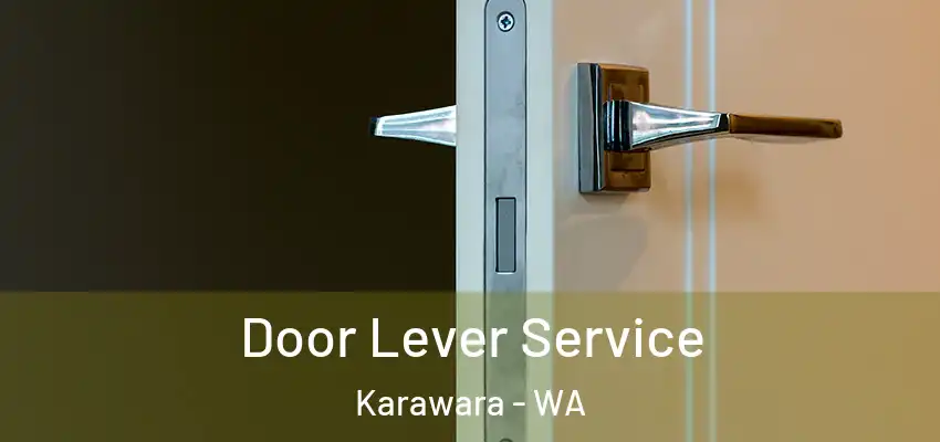 Door Lever Service Karawara - WA