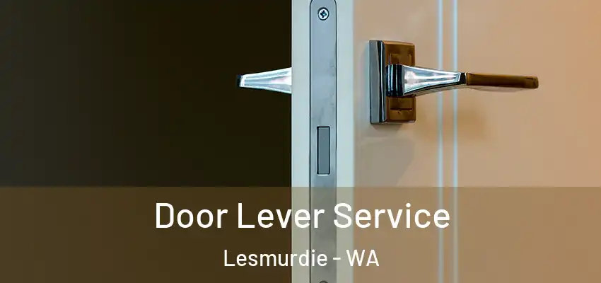 Door Lever Service Lesmurdie - WA
