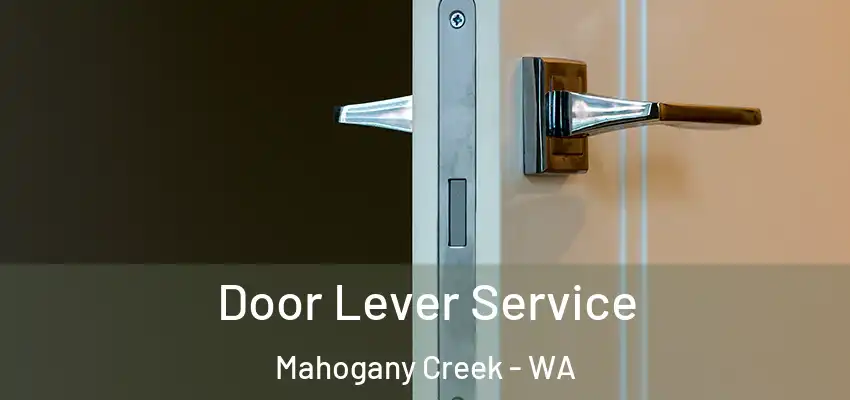 Door Lever Service Mahogany Creek - WA