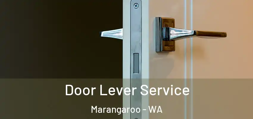 Door Lever Service Marangaroo - WA