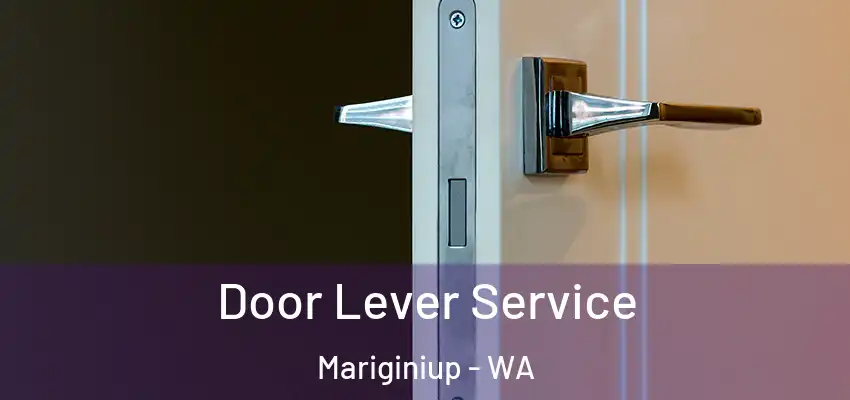 Door Lever Service Mariginiup - WA