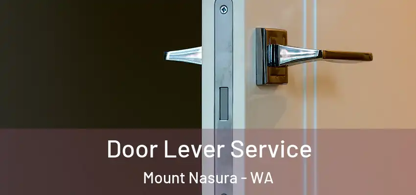  Door Lever Service Mount Nasura - WA