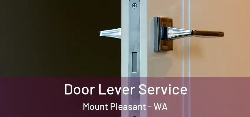 Door Lever Service Mount Pleasant - WA