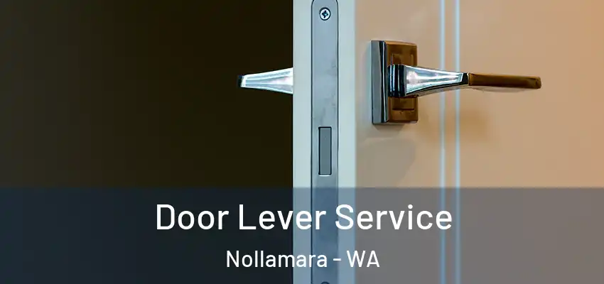 Door Lever Service Nollamara - WA