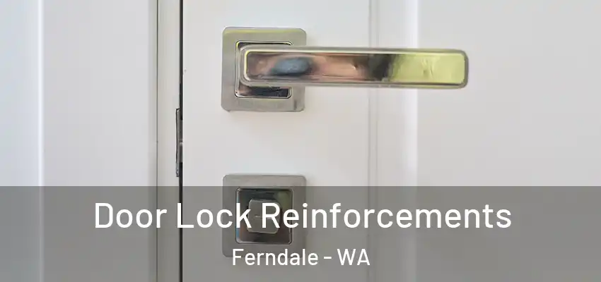 Door Lock Reinforcements Ferndale - WA
