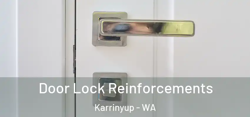 Door Lock Reinforcements Karrinyup - WA