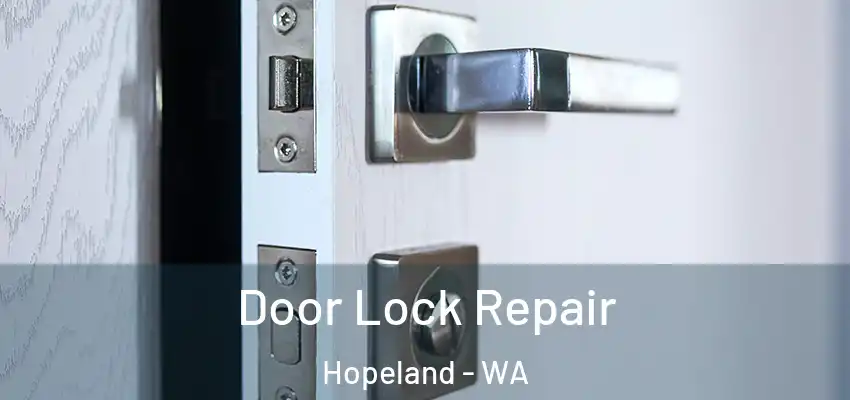  Door Lock Repair Hopeland - WA