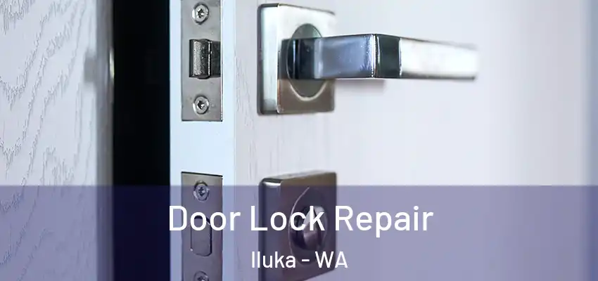 Door Lock Repair Iluka - WA