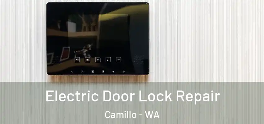 Electric Door Lock Repair Camillo - WA