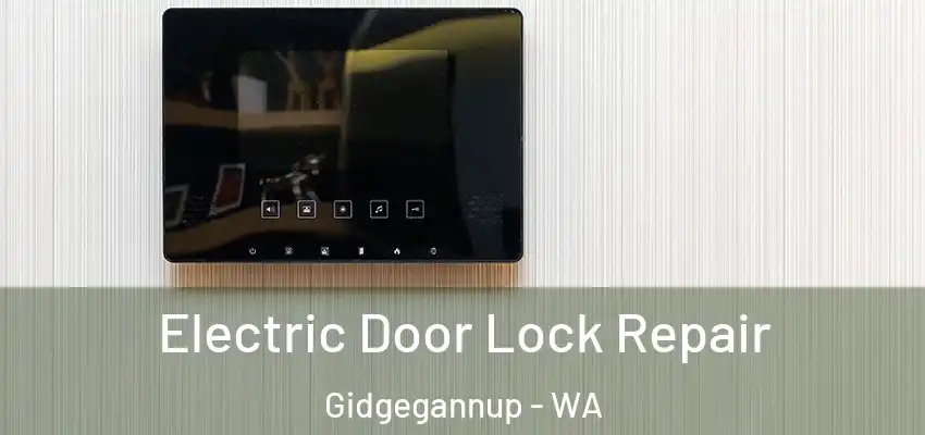 Electric Door Lock Repair Gidgegannup - WA